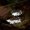 Puces oreilles éthiques. Bijou fait main feuilles de chêne en argent recyclé